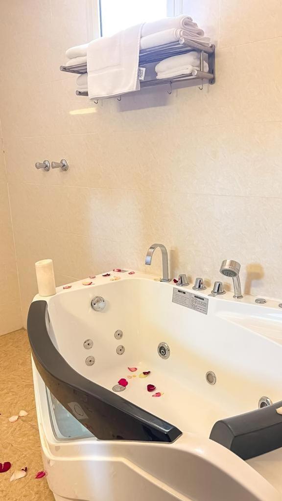 Hotel Levant